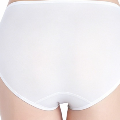 Seamless Low Waist Mulberry Silk Briefs